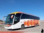 Neobus New Road N10 380 / Scania K400 / Evolucion Buses