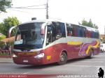 Unidades Buses Hualpen / VIII Región