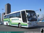 Busscar Vissta Buss Elegance 360 / Scania K340 / Yanguas