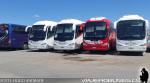 Unidades Irizar i6 / Cormar Bus - SRT Cielo
