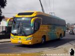 Mascarello Roma 350 / Volvo B380R / Buses HG
