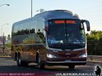 Busscar Micruss - Irizar I6 / Mercedes Benz LO-915 & Scania K400 / Buses Hualpen
