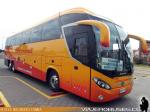 Mascarello Roma 370 / Volvo B420R / Transportes Cortes Flores