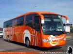 Irizar Century / Scania K380 / Buses Pallauta