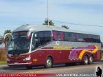 Irizar I6 / Scania K400 / Buses Hualpen
