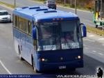 Buses Archipielago / Castro