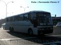 Busscar Jum Buss 360 / Volvo B10M / Buses Palomino