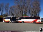 Unidades Buses San Sebastian / 8a Región
