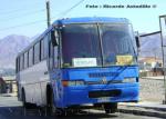 Nielson Diplomata 200 - Frente Viaggio / Scania BR116 / Transporte Agricola