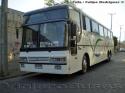 Busscar Jum Buss 360 / Scania K113 / Tepual