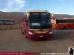 Flota de Buses Villa Travel