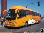 Irizar i6 / Scania K360 / Transporters Cortes Flores