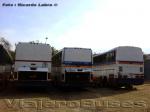 Busscar Jum Buss 360 - Nielson Diplomata 380 / Scania K113 - K112 / Ramos del Elqui