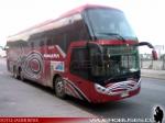 Zhong Tong Navigator Half-Deck LCK6137H / Kenny Bus