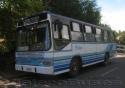 Marcopolo Torino / Mercedes Benz OF-1115 / Buses Pantoja