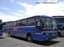 Marcopolo III - Frente Jum Buss / Volvo / Flores