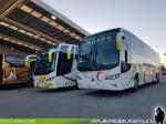 Busscar Busstar 360 / Mercedes Benz O-500RSD / Buses Amistad