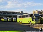 flota de buses Busscar Jum Buss 380 / Mercedes Benz O-500RS / Tur-Bus