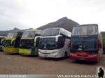 Unidades Marcopolo - Modasa - Comil - Busscar/ Scania - Volvo - Mercedes Benz / Varias Empresas - Especial Caminata Los Andes 2014