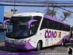 Servicios V Región / Condor Bus
