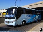 Zhong Tong LCK6125 / Buses Golondrina