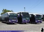 Condor Bus / Terminal Alameda - Santiago