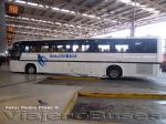 Marcopolo Viaggio GV1000 / Scania K113 / Buses Golondrina