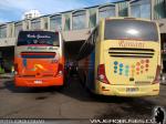Unidades Marcopolo Viaggio G7 1050 / Mercedes Benz O-500RS / Pullman Bus - Romani