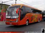 Maxibus Lince 3.45 / Mercedes Benz OH-1628 / Buses Los Halcones