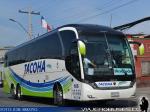 Neobus New Road N10 380 / Scania K400 / Tacoha por Andrade