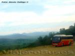 Zhong Tong LCK6125H / Pullman Bus