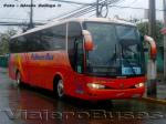 Marcopolo Viaggio 1050 / Volvo B7R / Pullman Bus