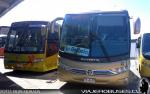 Unidades Busscar El Buss 340 - Marcopolo Viaggio G7 1050 / Volvo B7R - B9R / GGO