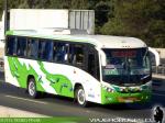 Marcopolo Ideale 800 / Mercedes Benz OF-1724 / Buin Maipo