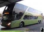 Modasa Zeus II - New Zeus III -  Busscar Vissta Buss LO / Mercedes Benz O-400RSL - O-500RS - O-500RSD / Tur-Bus