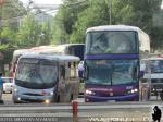 Unidades Busscar / Interbus - Condor Bus