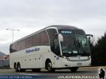 Neobus New Road N10 380 / Scania K410 / Tandem