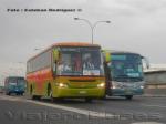 Busscar El Buss 340 / Mercedes Benz O-400RSE / Buses Fierro