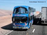 Metalsur Starbus / Mercedes Benz O-400RSD / La Veloz del Norte