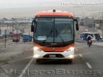 Marcopolo Ideale 770 / Mercedes Benz OF-1722 / Buses Thiele