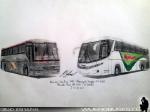 Buses Ilomar / Dibujo: José Salinas