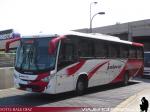 Marcopolo Ideale 770 / Mercedes Benz OF-1724 / Islaval