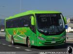 Buses Delsal / VIII Región