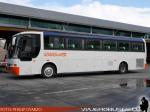 Busscar El Buss 340 / Scania K113 / Trans Hornopiren