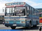 Metalpar Petrohue / Mercedes Benz OF-1115 / Buses Bustamante