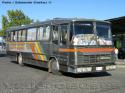 Nielson Diplomata 310 / Mercedes Benz OF-1115 / Buses Rio Claro