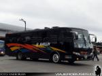 Busscar El Buss 320 / Mercedes Benz OF-1721 / Buses Maullin
