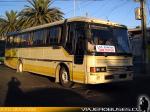 Busscar El Buss 320 / Mercedes Benz OF-1318 / Rural Melipilla - Los Guindos - Ta​ntehue