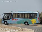 MetalBus / Mercedes Benz LO-915 / Buses Flores