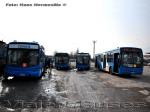 Flota de Buses Zona E